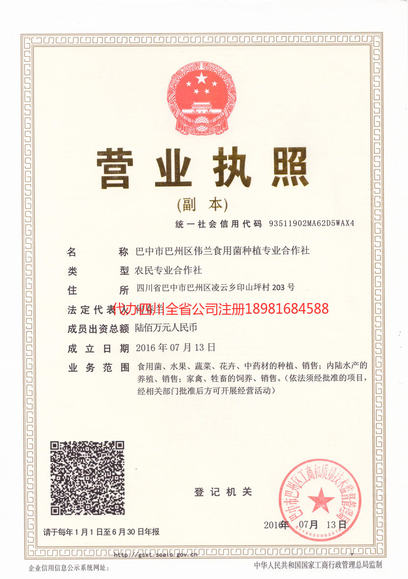 南部南部伟兰食用菌种植专业合作社