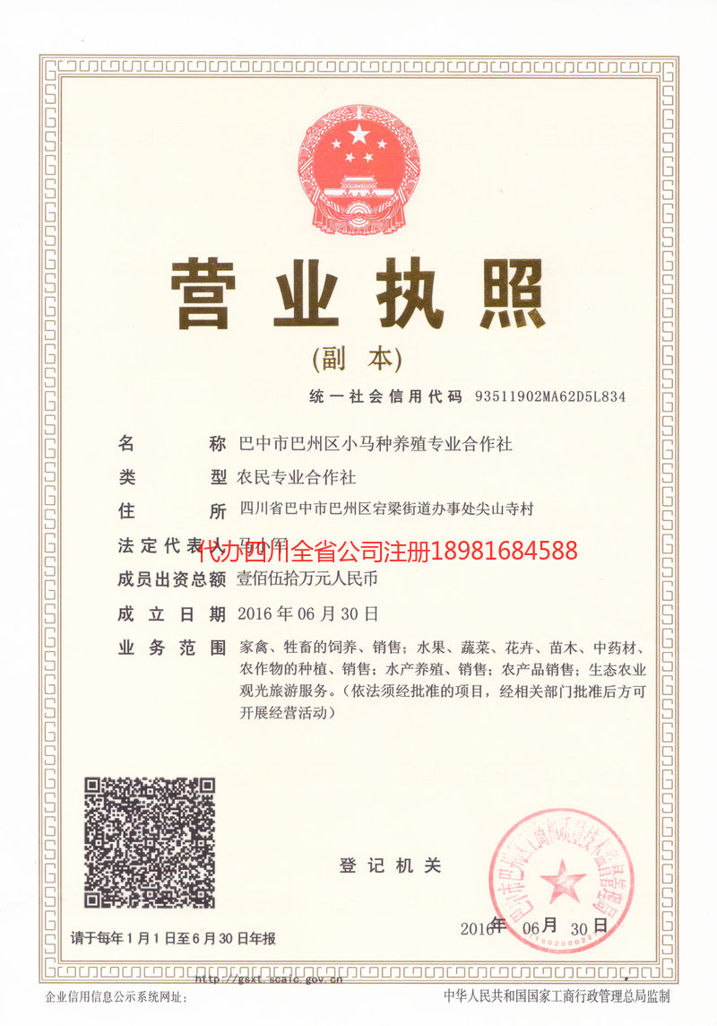 南部南部小马种养殖专业合作社